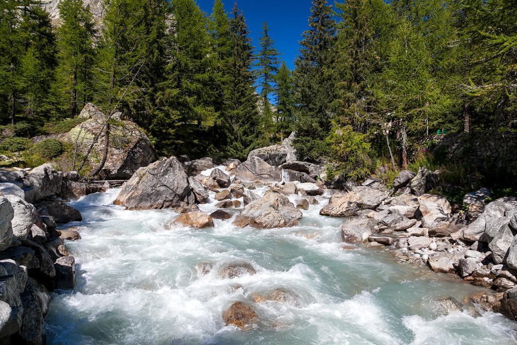 Hotel Lo Scoiattolo Courmayeur Eksteriør billede